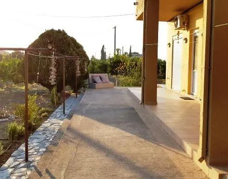 Sunset View *